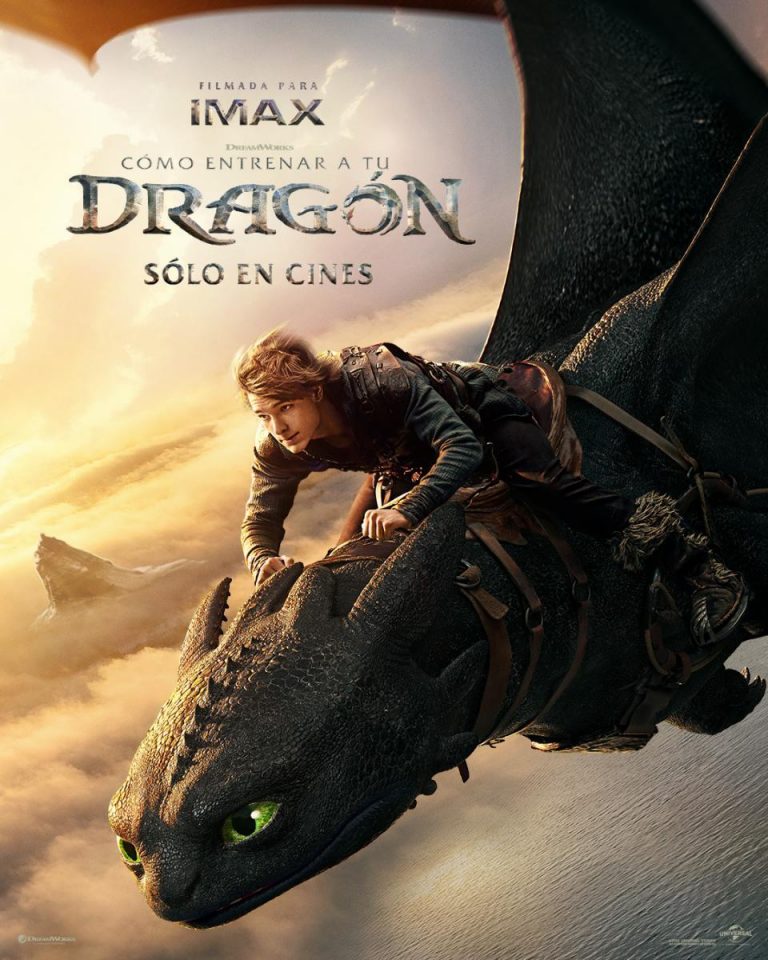 COMO ENTRENAR A TU DRAGON